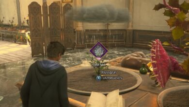 hogwarts legacy flussgras pflanzen