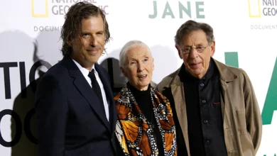 hugo eric louis van lawick